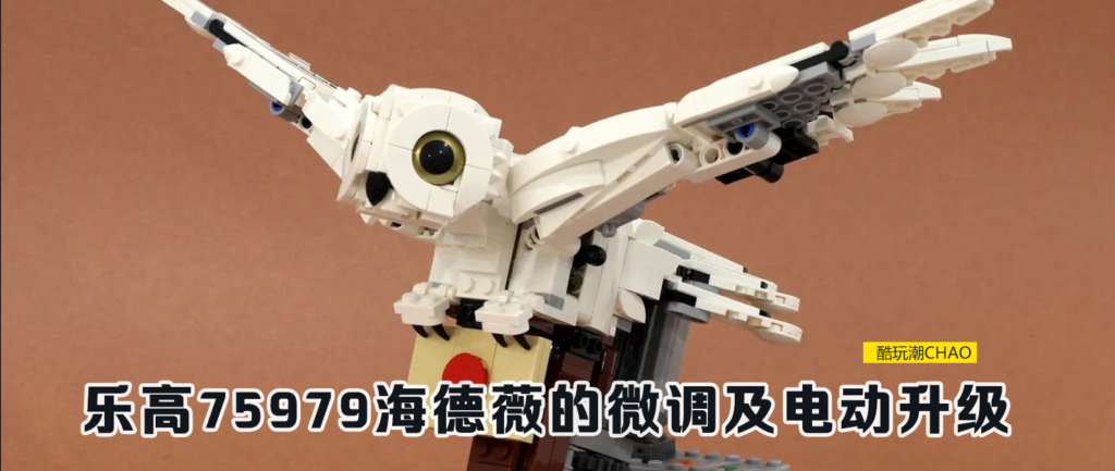 Hedwig Modifications