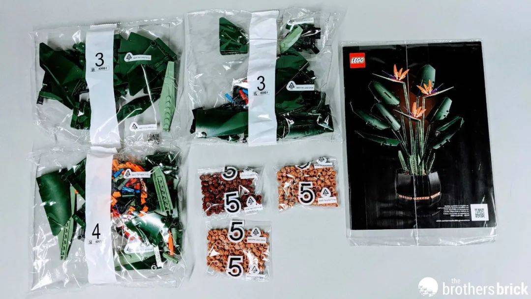 乐高植物系列新套装10289天堂鸟开箱评测 -1 乐高植物系列新套装10289天堂鸟开箱评测 -1