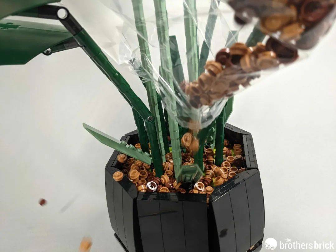 乐高植物系列新套装10289天堂鸟开箱评测 -1 乐高植物系列新套装10289天堂鸟开箱评测 -1