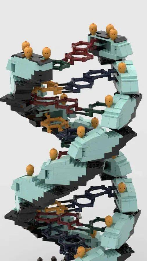 专访乐高Ideas万票作品《DNA双螺旋》作者LegoDNA -1