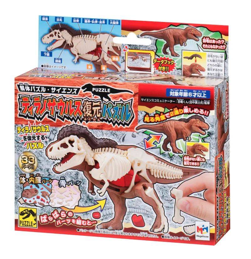 你知道霸王龙有哪些器官吗？ MEGAHOUSE 解体系列《霸王龙复原拼图》边玩边学习 -1