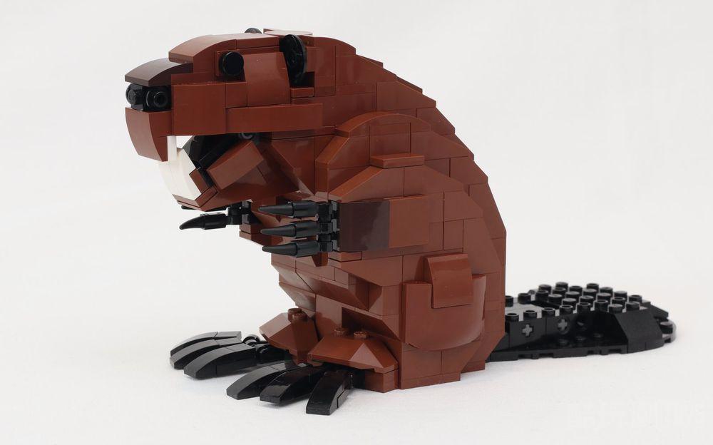 机械海狸Mechanical Beaver -1