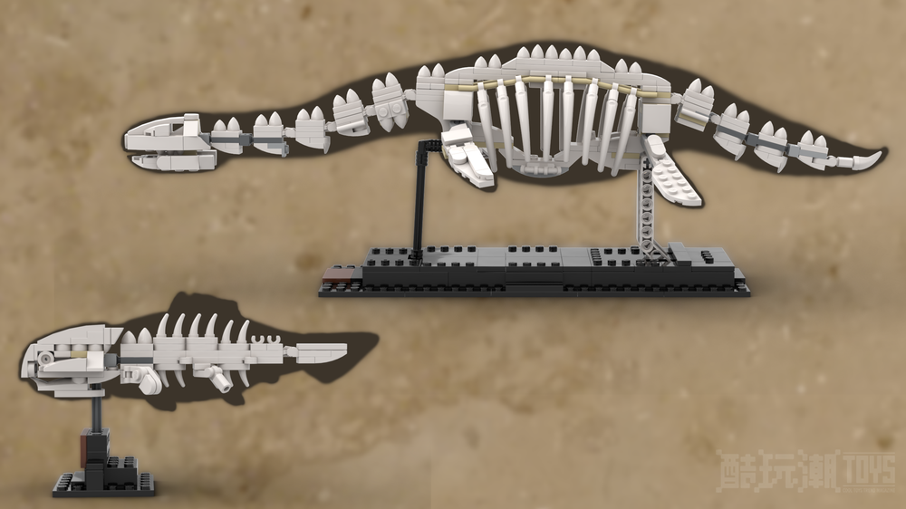 恐龙化石Dinosaur Fossils -1