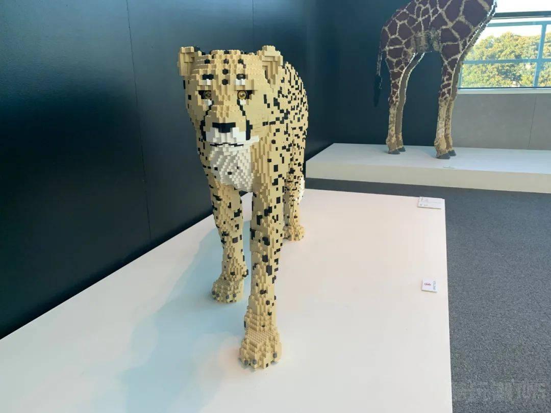 新年带你继续看展——“奇幻积木艺术”积木巡回展览洛杉矶站 -1 新年带你继续看展——“奇幻积木艺术”积木巡回展览洛杉矶站 -1