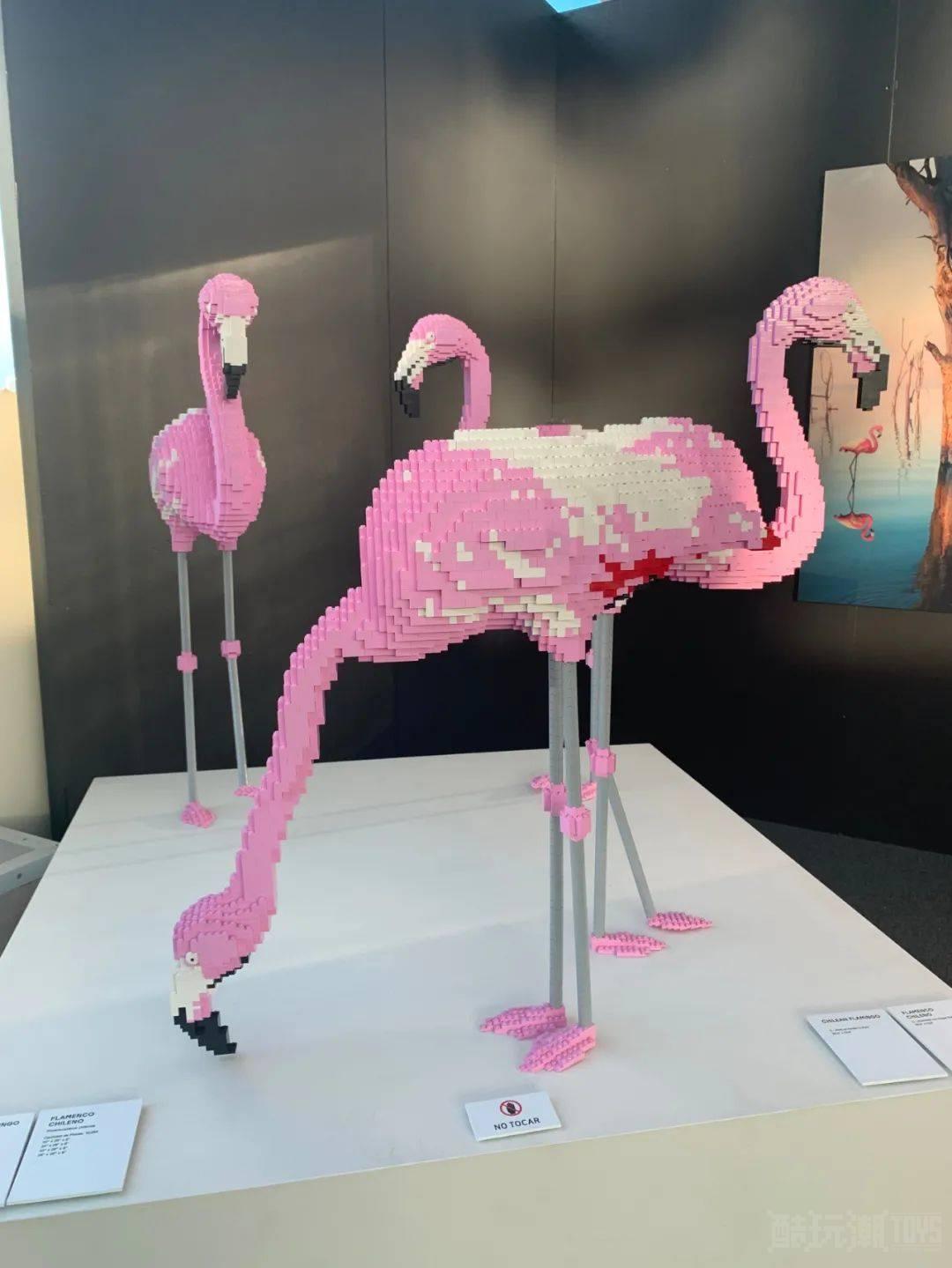 新年带你继续看展——“奇幻积木艺术”积木巡回展览洛杉矶站 -1 新年带你继续看展——“奇幻积木艺术”积木巡回展览洛杉矶站 -1