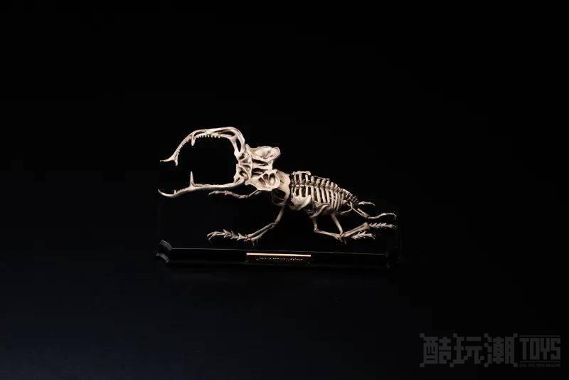 将外骨骼化为内骨骼的绝妙发想！针桐双一全新原创系列‘内骨骼标本博物馆’6 款原型公开 -1