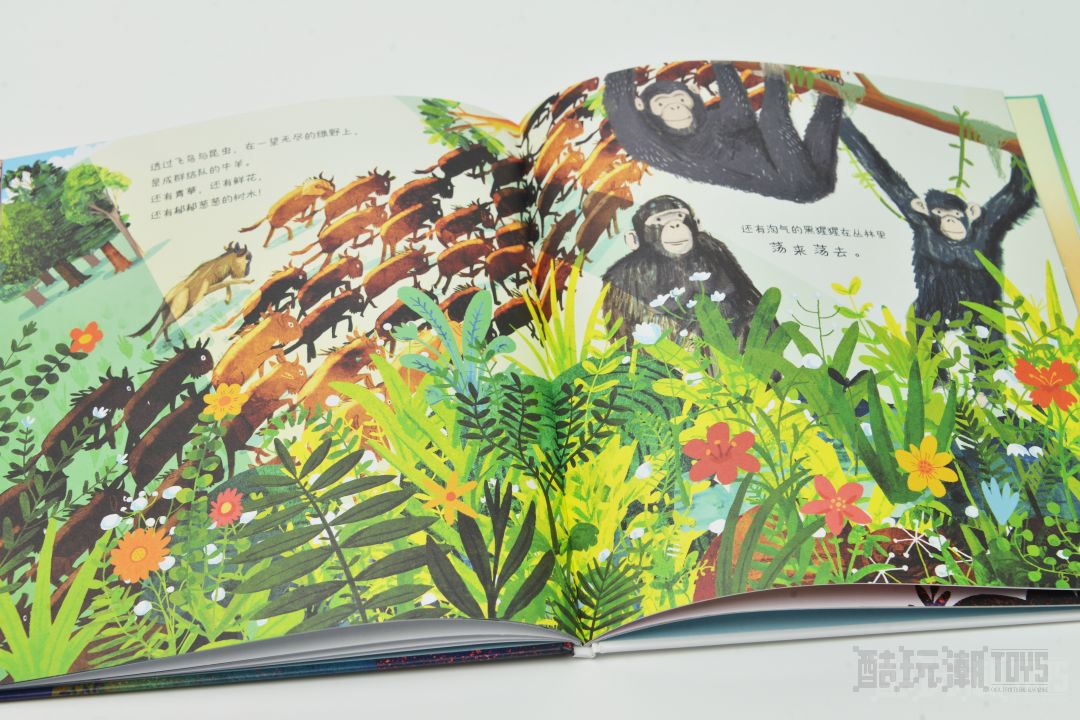 超多精美图书来袭!领券享巨额优惠,让孩子们享受一个充实的假期 -1 超多精美图书来袭!领券享巨额优惠,让孩子们享受一个充实的假期 -1