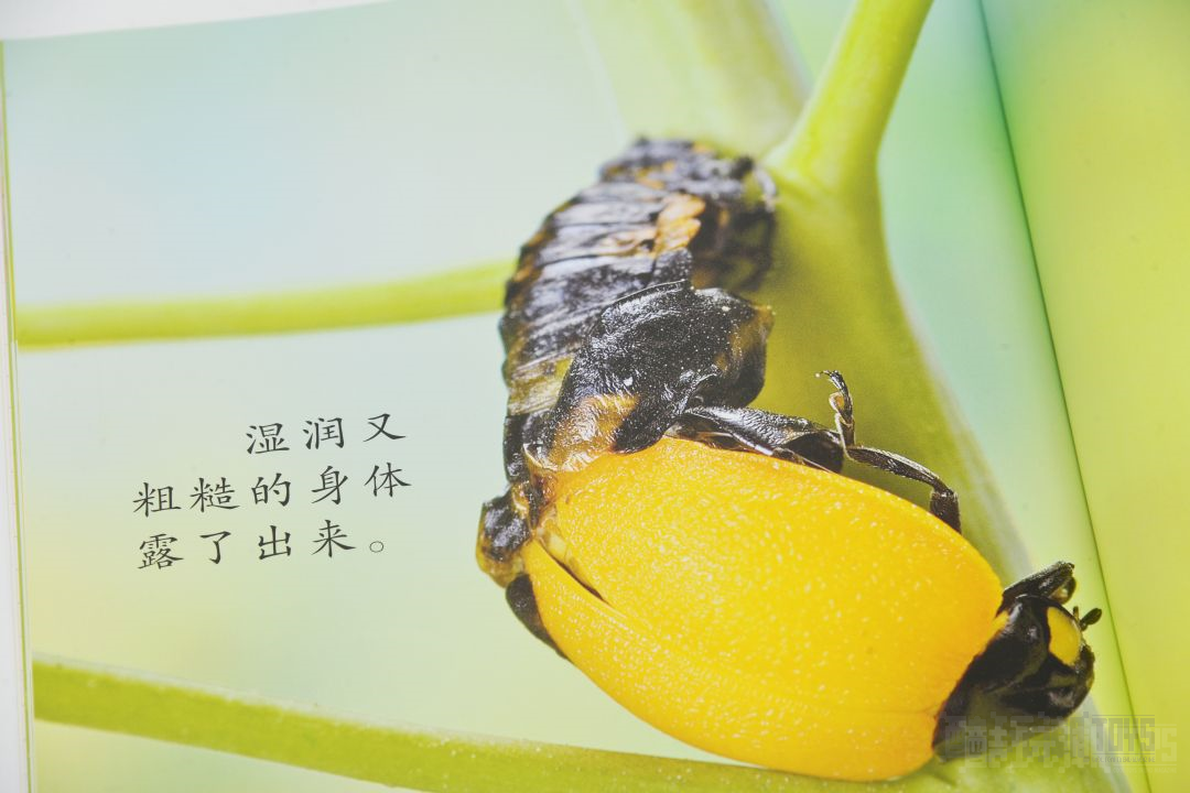 超多精美图书来袭!领券享巨额优惠,让孩子们享受一个充实的假期 -1 超多精美图书来袭!领券享巨额优惠,让孩子们享受一个充实的假期 -1