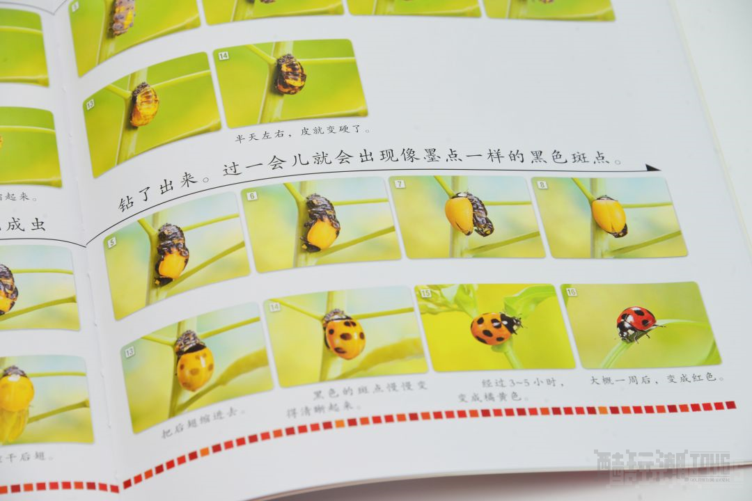超多精美图书来袭!领券享巨额优惠,让孩子们享受一个充实的假期 -1 超多精美图书来袭!领券享巨额优惠,让孩子们享受一个充实的假期 -1
