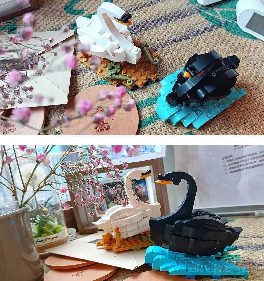 【小酷每周送福利】前方特惠预警！积木优惠组合套装来咯~ -1