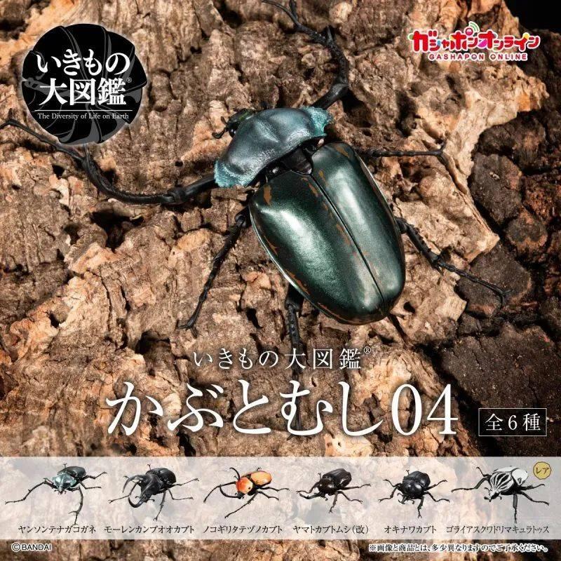 万代“GASHAPON 生物大图鉴 独角仙04”转蛋 收录大角金龟、波特力竖角兜虫！ -1