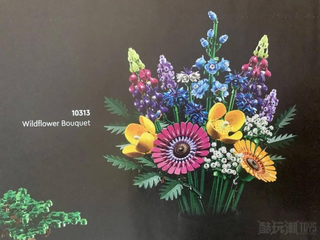 野花&干花!乐高ICONS花植系列两款2023年新品图片曝光 -1 野花&干花!乐高ICONS花植系列两款2023年新品图片曝光 -1