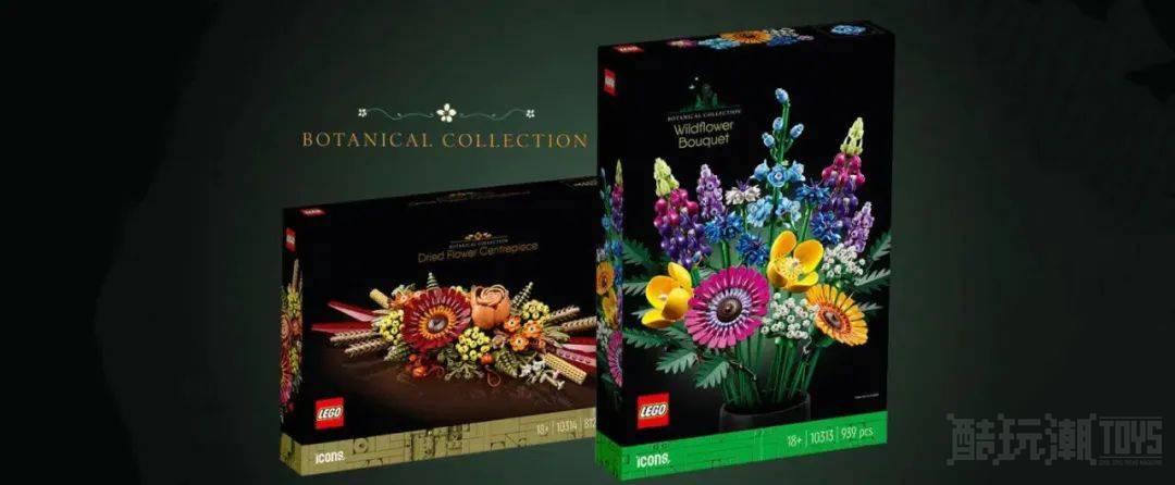 更多官图公布!两款乐高ICONS花植系列野花和干花即将上架 -1 更多官图公布!两款乐高ICONS花植系列野花和干花即将上架 -1
