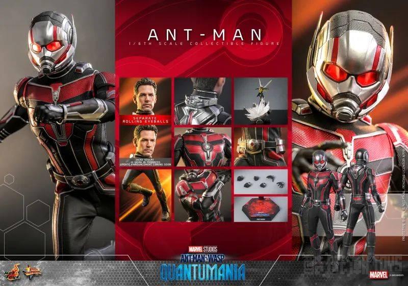 Hot Toys《蚁人与黄蜂女：量子狂潮》蚁人（Ant-Man）1/6 比例收藏级人偶 -1