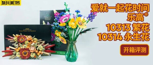 爱就一起花时间——乐高10313繁花&10314永生花套装开箱