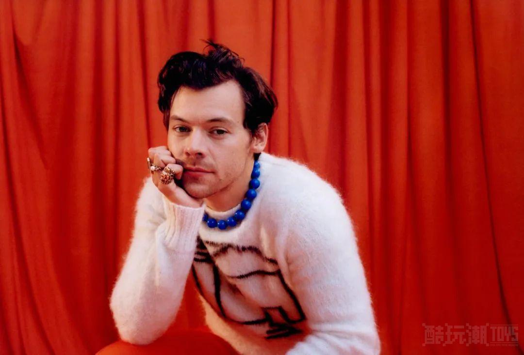 又又见MV~乐高IDEAS作品《Harry Styles–Harry’s House》获得万票支持! -4 又又见MV~乐高IDEAS作品《Harry Styles–Harry’s House》获得万票支持! -4
