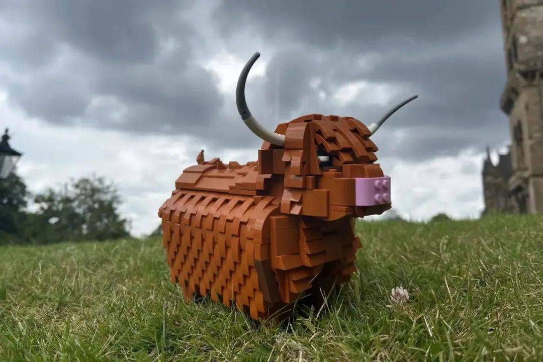 自然界的非主牛，乐高IDEAS作品《苏格兰高地牛》获得万票支持