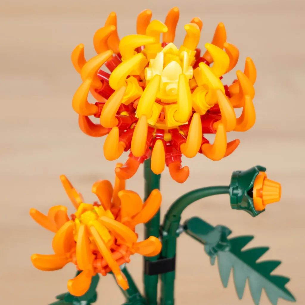 乐高盆栽拼搭教程！看看乐高花植套装10368菊花和10369梅花中出现的新零件
