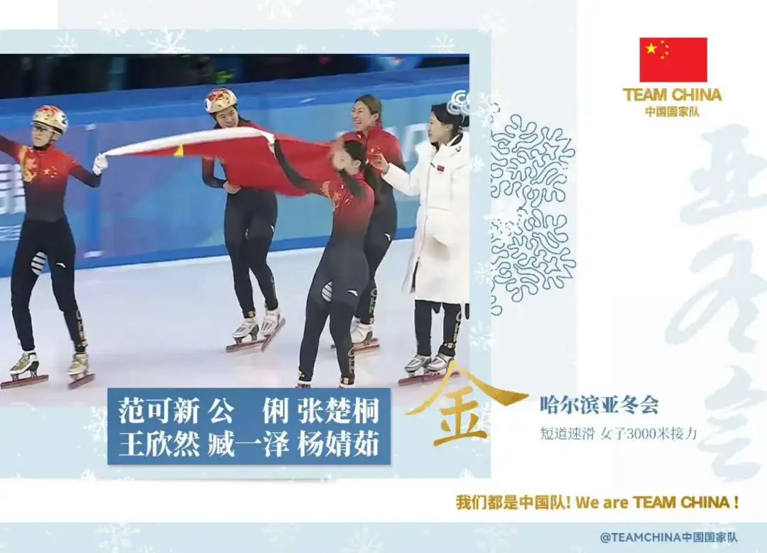 哈尔滨用紫色惊艳世界！乐高玩家连夜拼起了这些绝美花卉……