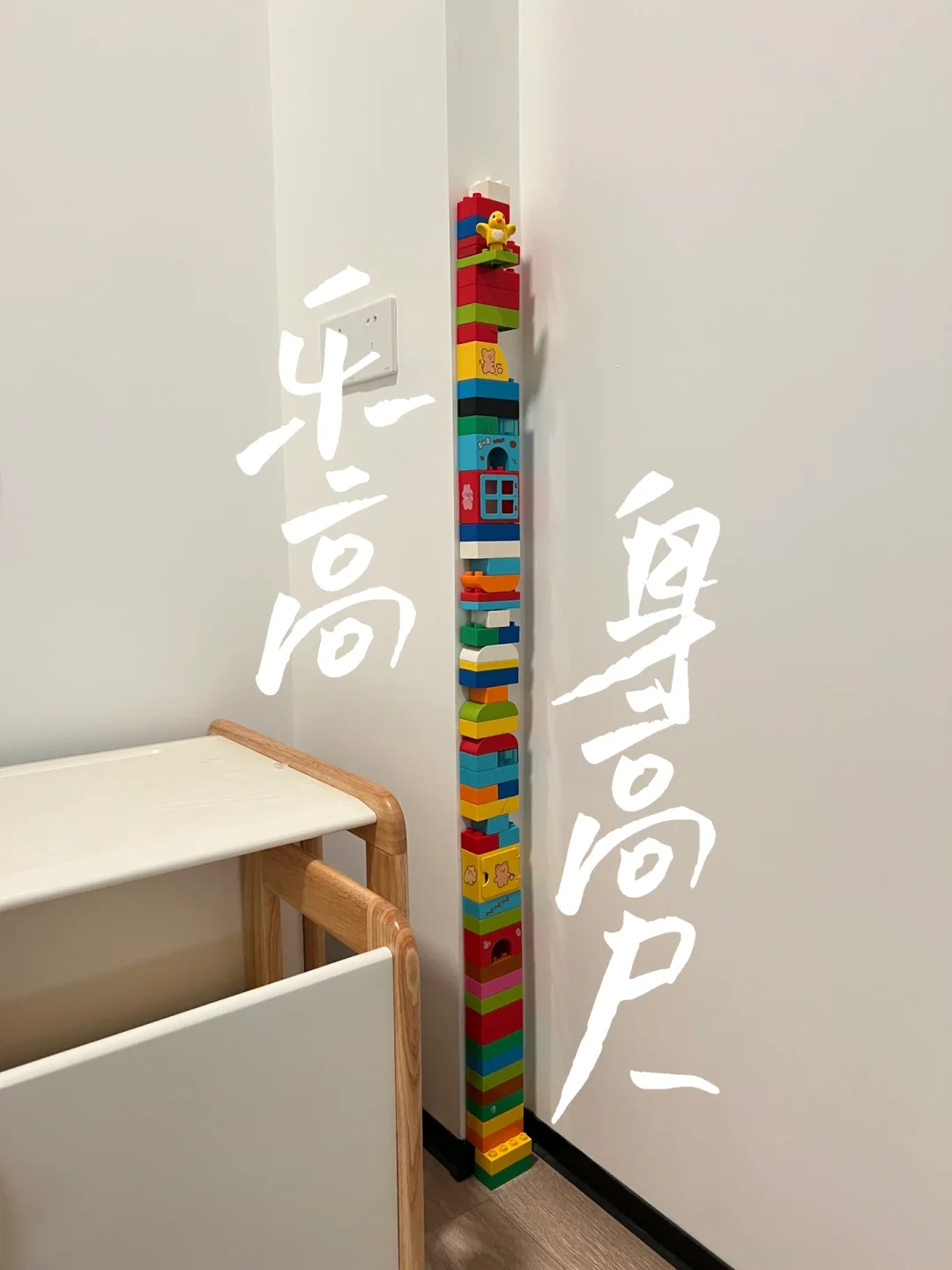 图原：宅家妞妞