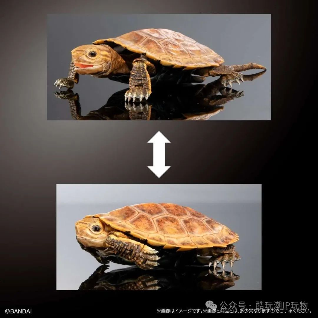 %title插图%num %title插图%num