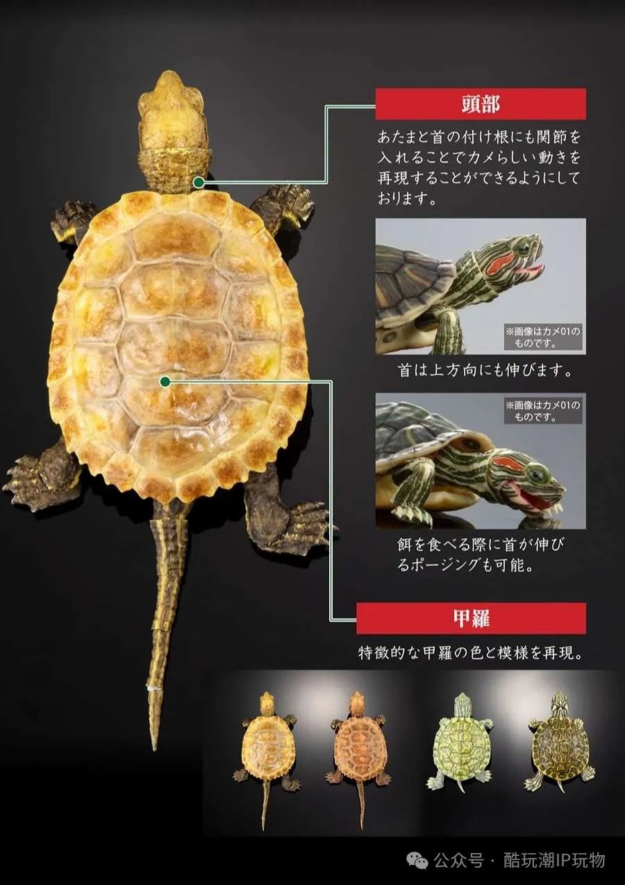 %title插图%num %title插图%num
