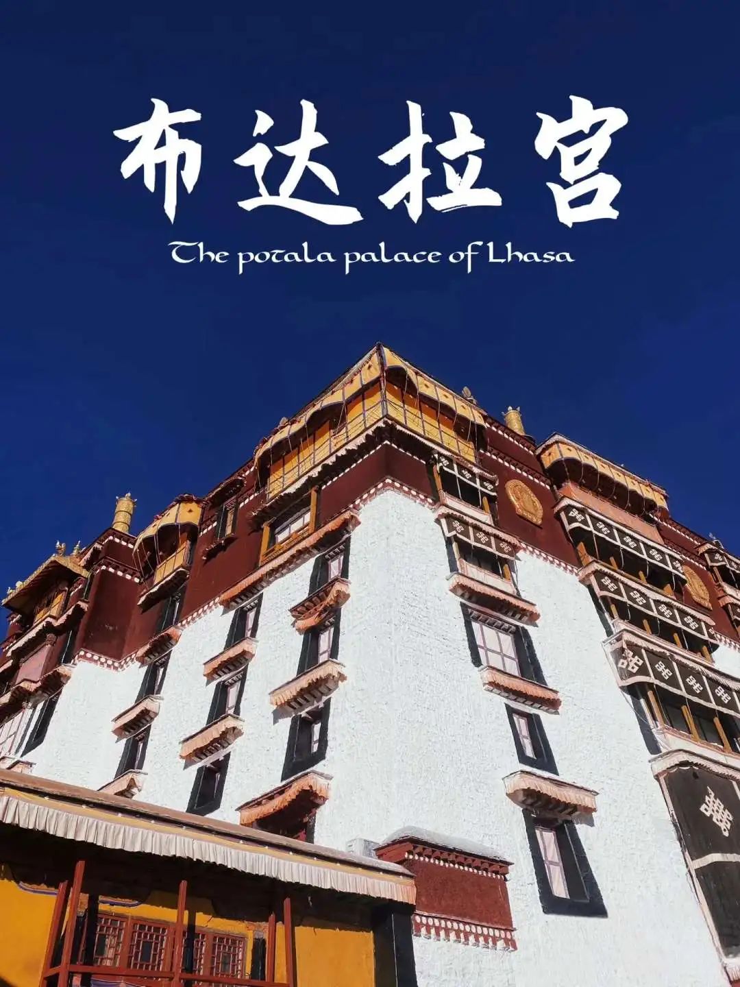 从江南到高原，“乐高复刻世界”这次走进布达拉宫！