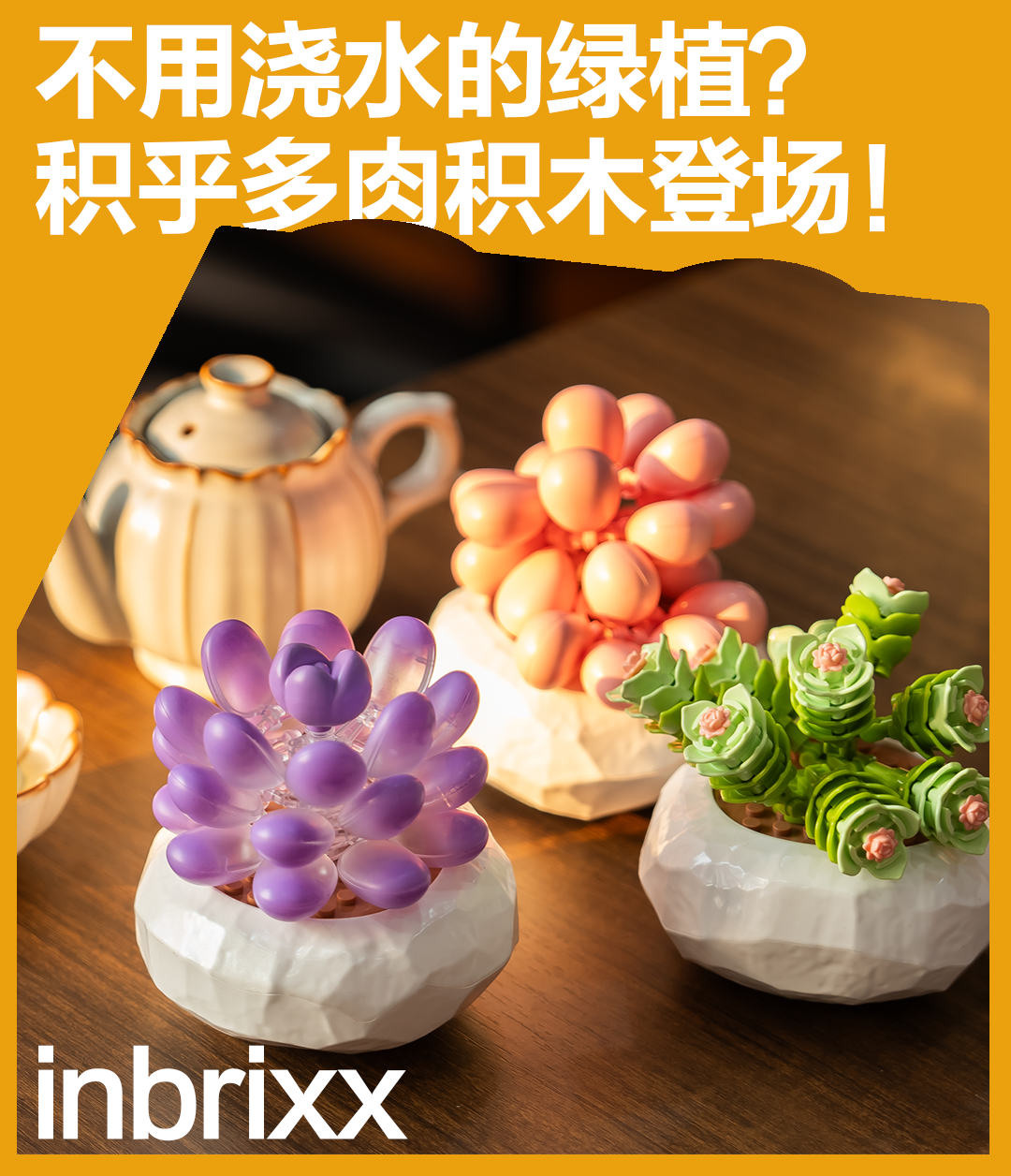 真多肉也太难搞？试试“拼”出来的绿意，零压力治愈系！