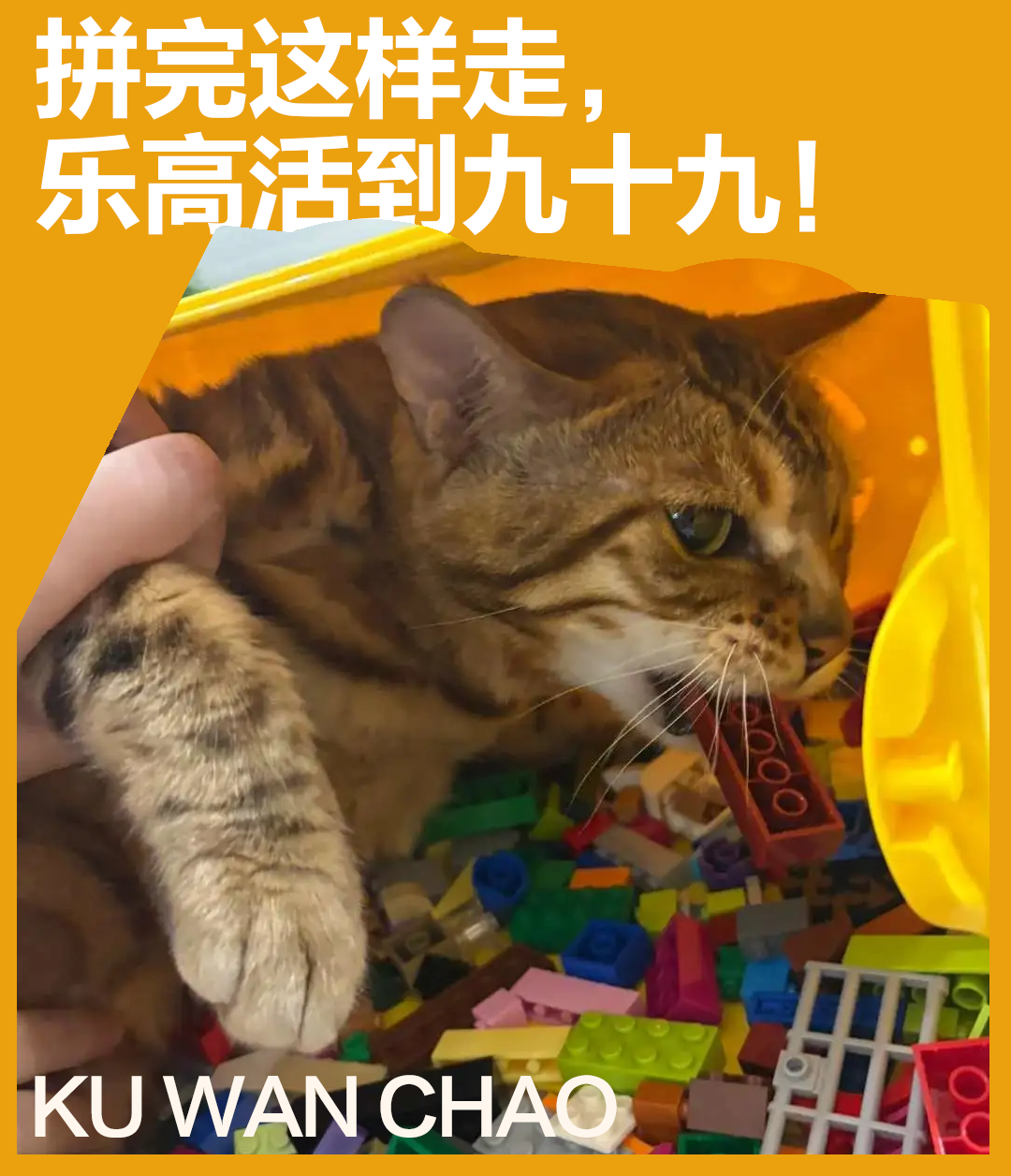 乐高禁忌，拼前必看！
