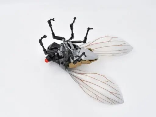 %title插图%num %title插图%num