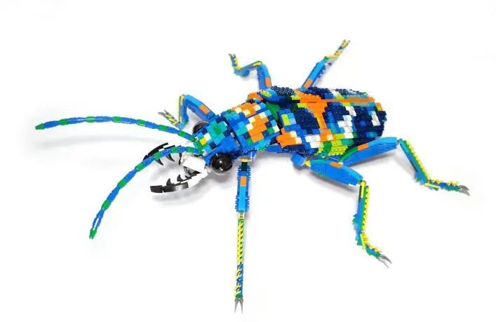 %title插图%num %title插图%num