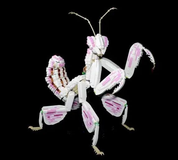 MOC玩家不认季节交替，虫鸣谢幕，乐高积木登场