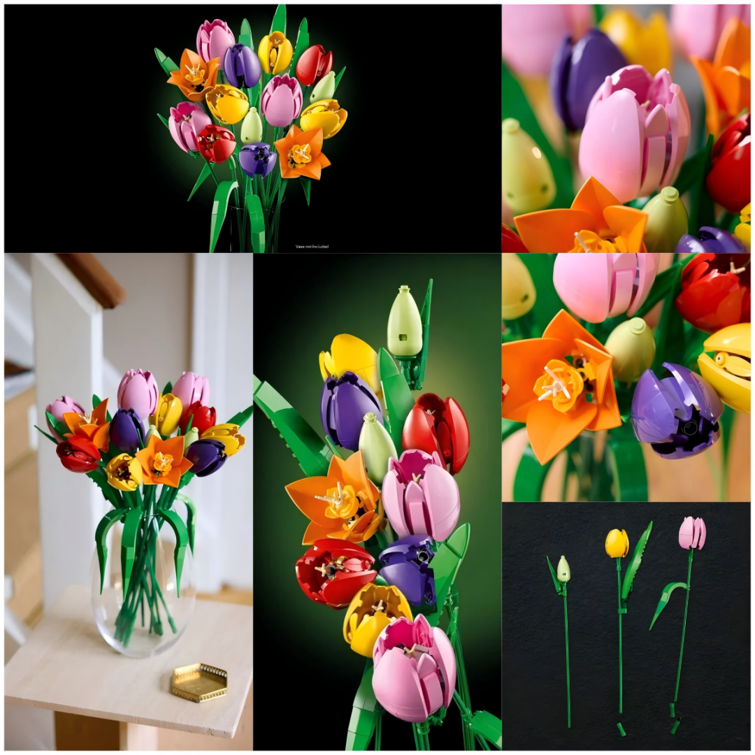 %title插图%num %title插图%num