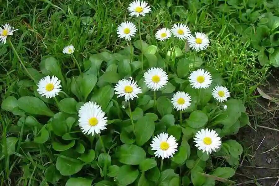 %title插图%num %title插图%num