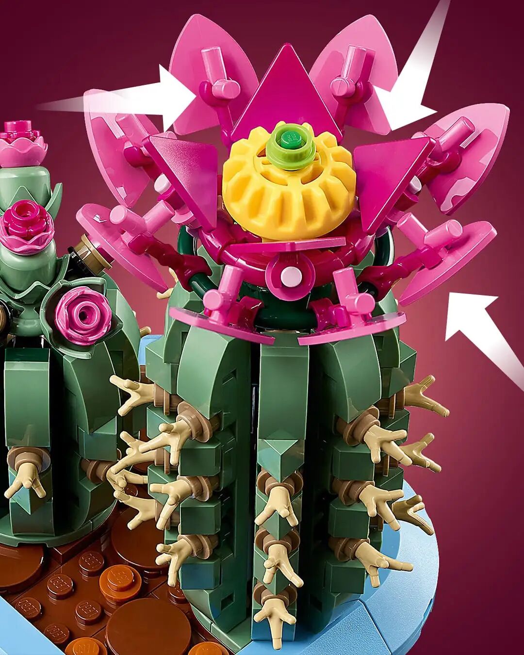 %title插图%num %title插图%num