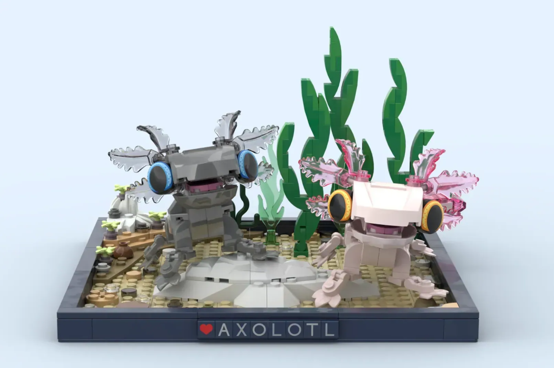 %title插图%num %title插图%num