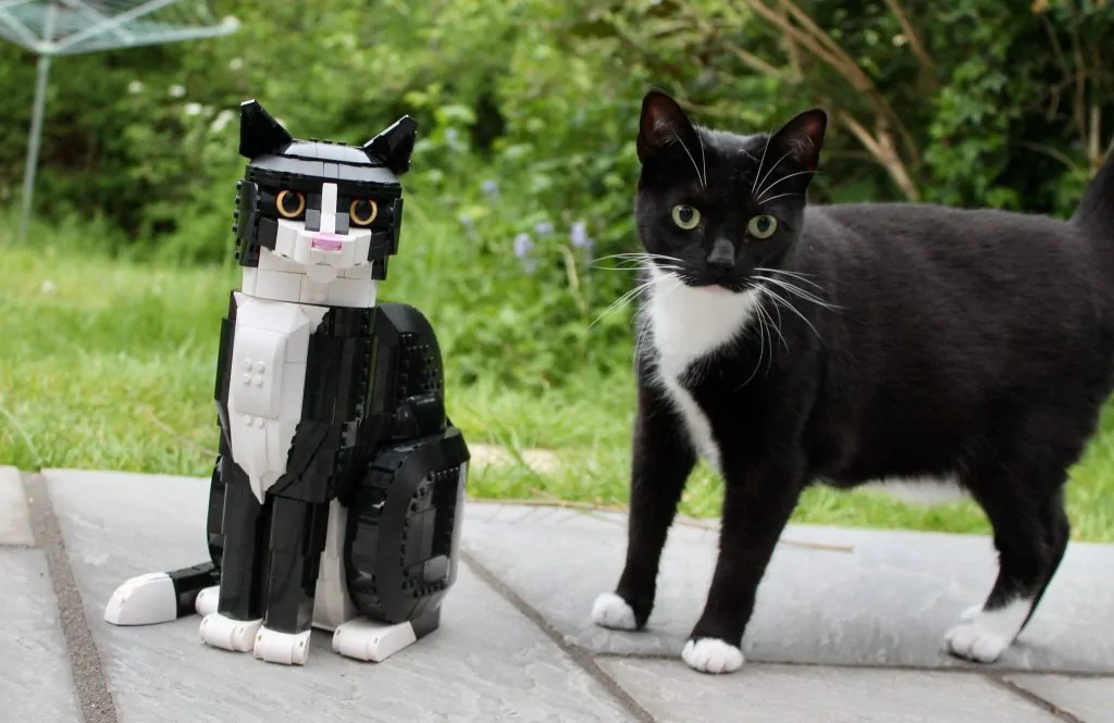 %title插图%num %title插图%num