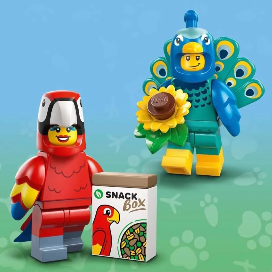 %title插图%num %title插图%num