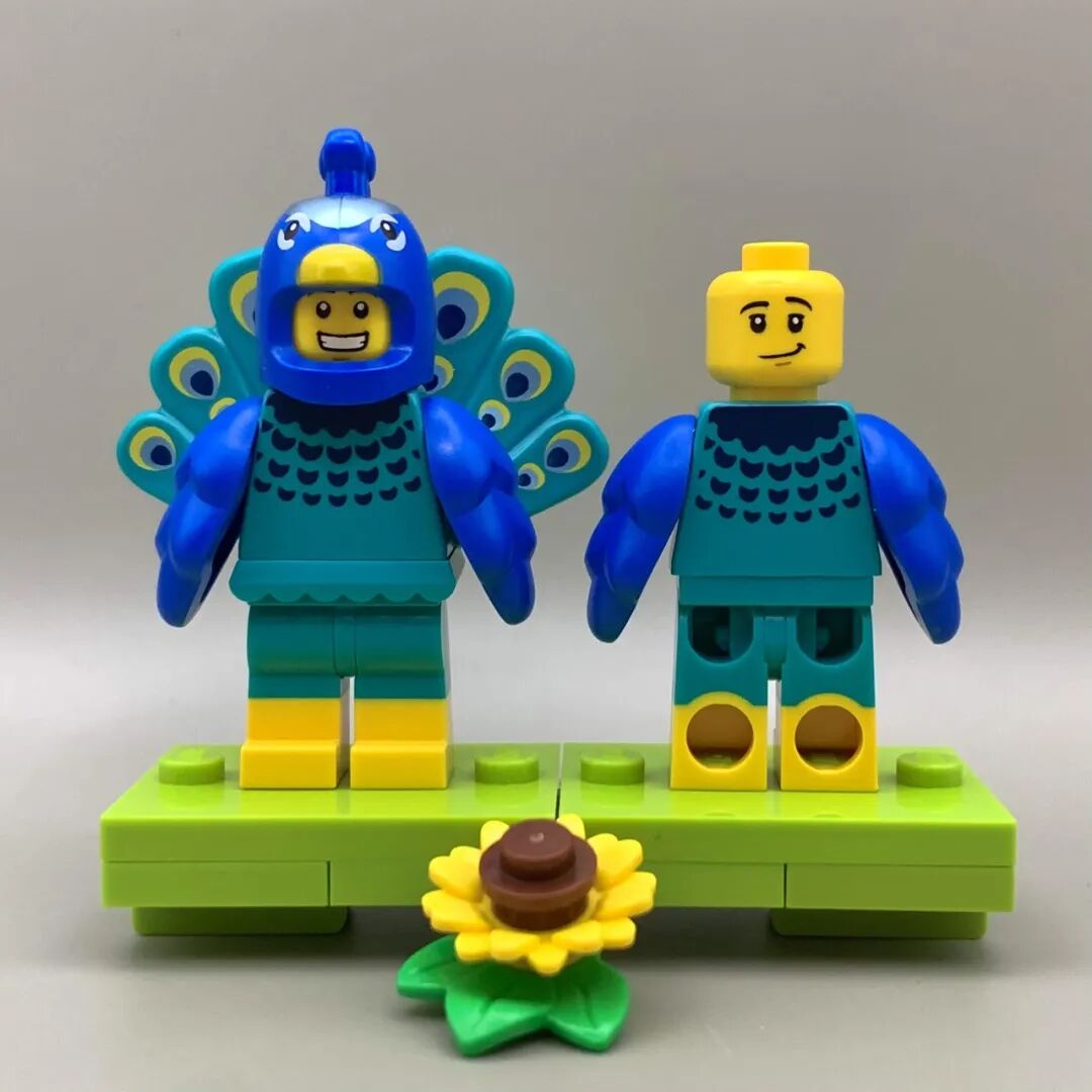 %title插图%num %title插图%num