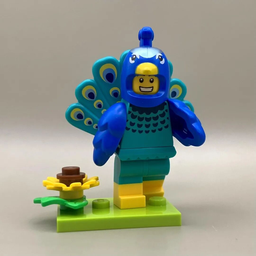 %title插图%num %title插图%num