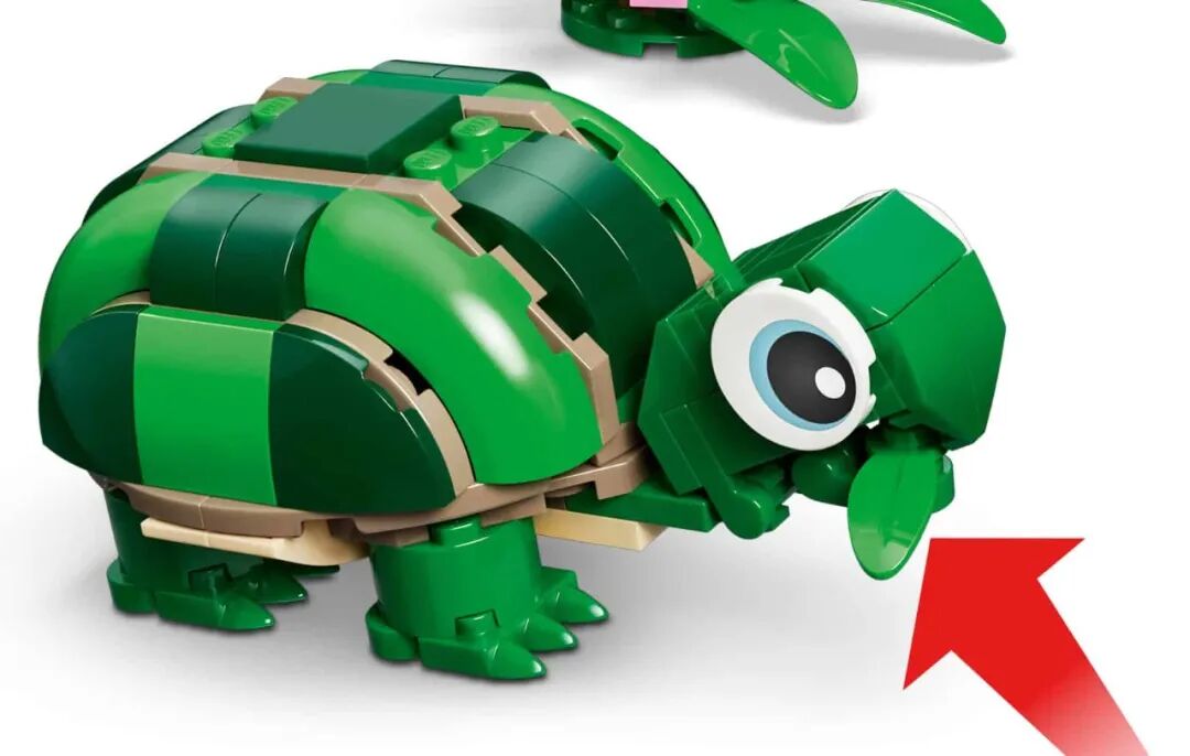 %title插图%num %title插图%num